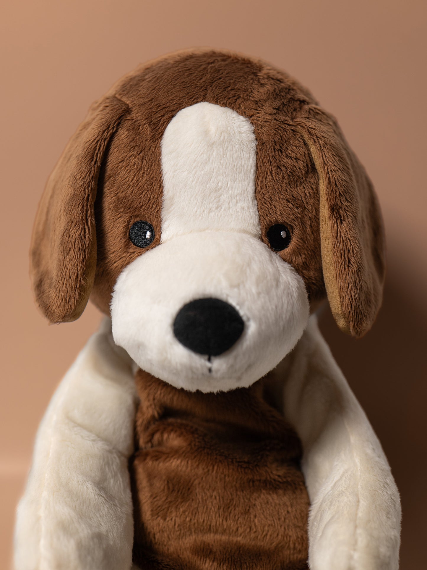 Lotgenootje Hond 2kg
