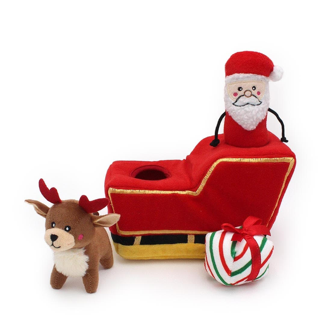 Santa's Sleigh