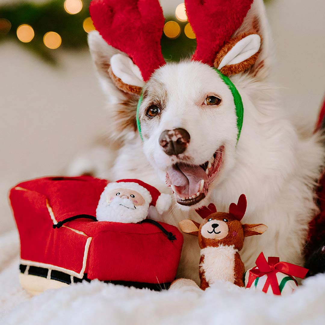 Santa's Sleigh