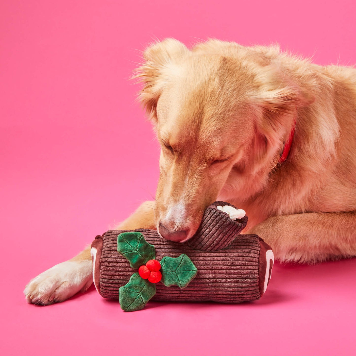 Deluxe Holiday Interactive Toy Set for pets