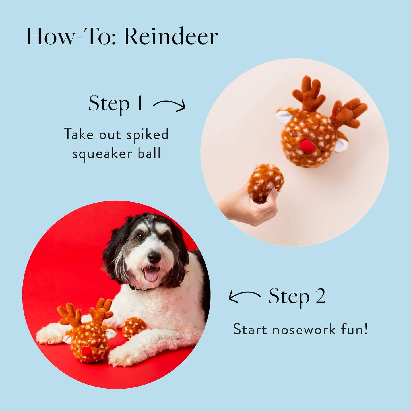 Deluxe Holiday Interactive Toy Set for pets