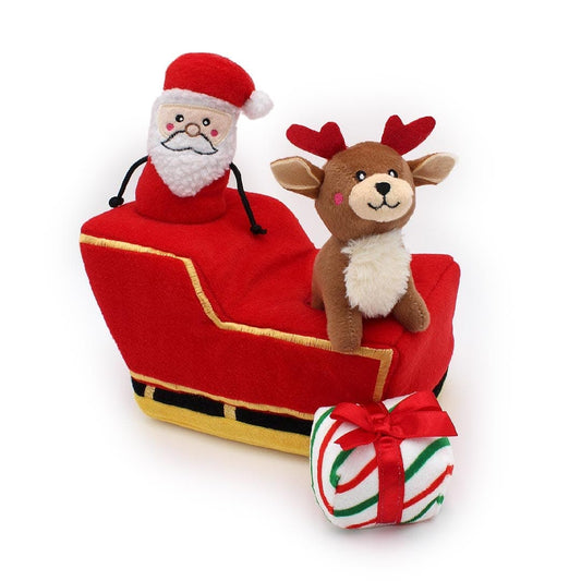 Santa's Sleigh