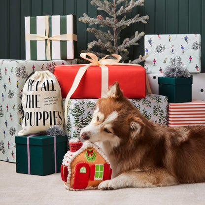 Deluxe Holiday Interactive Toy Set for pets